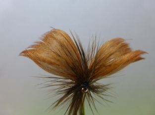 Size 10 Mayfly Brown